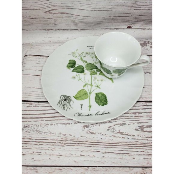 Vintage Hocquart Del Et Sculp Pl 95 Clematite Brulante Tea Cup And Plate Set - Picture 5 of 12